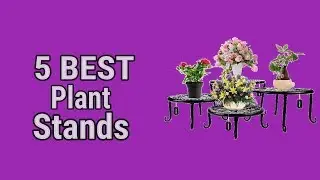 5 Best Plant Stands