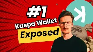 Раскрыт кошелёк-кит Kaspa №1 &mdash; что они делают