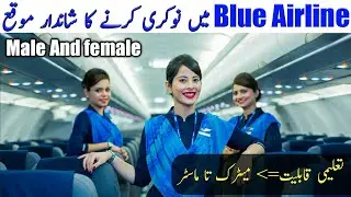 Blue Airline jobs August 2019/ New jobs for Male And female :
