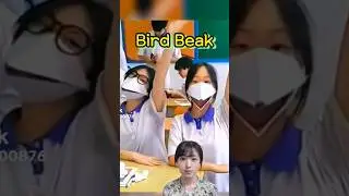 Easy Origami Bird Beak