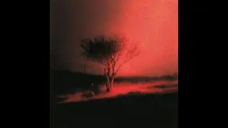 Утечка полного альбома Joji - Piss In The Wind