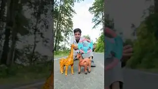Duita Remote Control Giraffe and Horse Unboxing Review