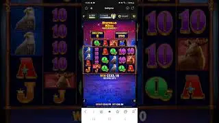 Buffalo King Megaways * .20 bet bonus * Betty Casino * How'd it go?