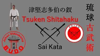 Tsuken Shitahaku no Sai | 津堅志多伯の釵