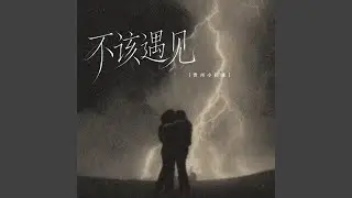 不该遇见 (Dj版)