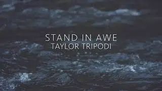 Stand In Awe by Taylor Tripodi feat. Tom Young