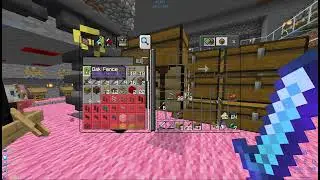 Aethel SMP admin hard at work