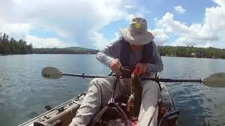 The Fish Saver Tool for Gut Hooked Fish