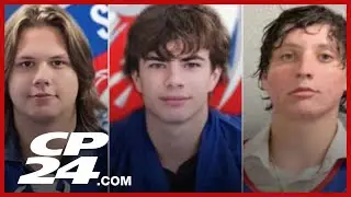 Investigators suggest Alberta crash was 'tragic accident' with criminal charges unlikely: RCMP
