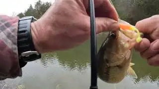 Pond Hopping (March 2025) Kansas Fishing for Bass | Bank Fishing