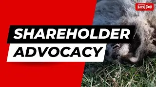 PETA Shareholder Advocacy: Driving Change for Animal Rights - AIO Financial