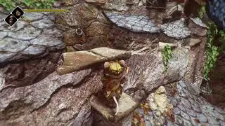 Ghost of a tale/ Armory key Indirect