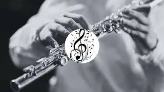 The Fairy Hurlers - Flute Solo Arrangement (Link in description)