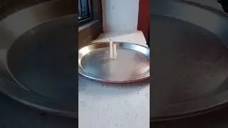 Candle Experiment 🔥Science experiment at home #shorts #experiment #viral