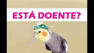 Como identificar se uma calopsita está doente?