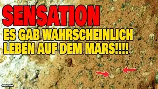 Sensation!!! - Es gab wahrscheinlich Leben auf dem Mars