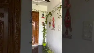 Money Plant Wall Mounted Simple Idea | #shanmugamvlogs