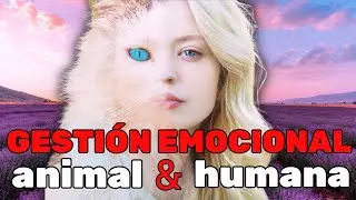 💚C&Oacute;MO viven las EMOCIONES animales y personas | INTELIGENCIA EMOCIONAL