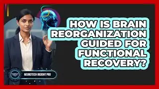 How Is Brain Reorganization Guided For Functional Recovery?