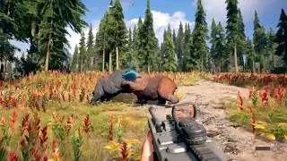 Far Cry 5 - Bear Fight!