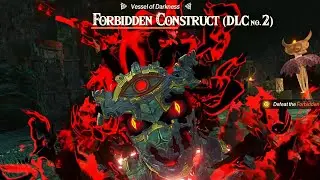 Hyrule Warriors Age of Imprisonment - 100% Walkthrough Part 58 - Fateful Forbidden Clash DLC Quest