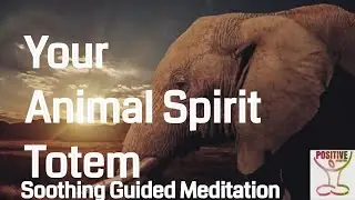 Meditation 10 Minutes Soul Searching Animal Spirit Totem Healing Guide Inner Calm Peace & Serenity