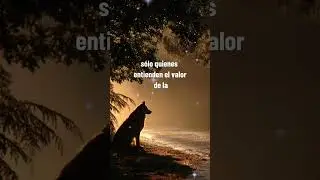 El poder del silencio