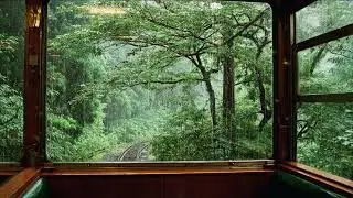 Peaceful Rain Tapping For Meditation &ndash; White Noise For Study, Focus, And Stress Relief