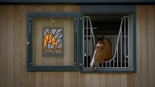 Carpe Diem Equestrian Team