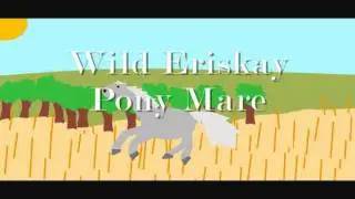 My Paint Horses #1
