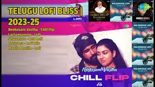 ప్రేమ & సంతోషం లోఫీ పాటలు | DJ Aftab Songs | Neekosam Vastha  Chill Flip | Lachamammo  Lofi