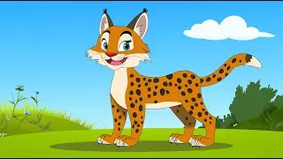 认识动物：《猞猁》- 动物科普｜动物世界｜有趣动物｜幼儿科普｜Understanding Animals in Chinese: Lynx