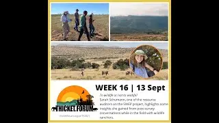 #16b: Sarah Schumann (2021) To wildlife or not to wildlife? Insights from wildlife ranchers- SWEP