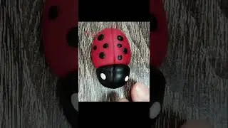 ladybug 🐞  cake topper #cake #cakedecorating #caketoppers #ladybug #diy 0