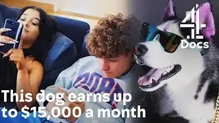 Instagram-Famous Dog Earns $15,000 a Month - Jamali Maddix meets Swaggy Wolfdog