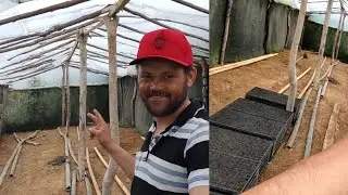 como fazer uma estufa para plantio de mudas? gastando pouco dinheiro 💸.