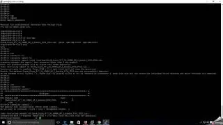 Checkpoint R77 30 HotFix Installation