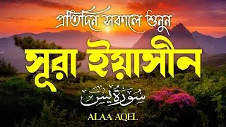 Surah Yaseen (سورة يس) | Peaceful Morning Quran Recitation | Calming & Healing Voice