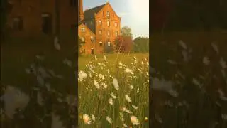 1405 1016134 mp3