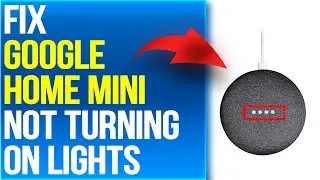 How To Fix Google Home Mini Not Turning On Lights (What To Do To Troubleshoot The Issue Quickly?)