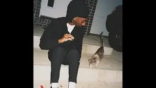 [FREE] protect + ballhog + sample type beat - 