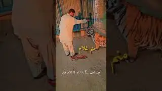 Karachi garden zoo reptile house