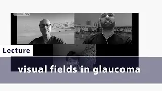 visual fields in glaucoma