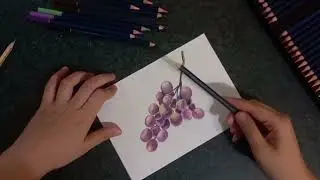 Как нарисовать виноград цветными карандашами/тест новых карандашей