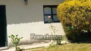 Fran chavez