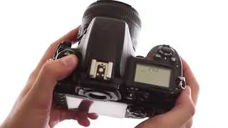 How to adjust ISO on your Nikon pro level DSLR camera