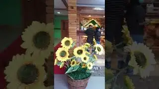 Teachers Camp A Home for Government Official at Baguio