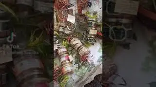 Auch sous la pluie. Gascogne.  Город Ош под дождем - Франция - Гасконь