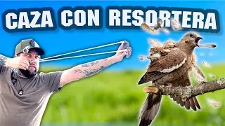 ‼️ CACERIA de PALOMAS  con RESORTERA.  //  Aqui hay MUCHISIMAS palomas