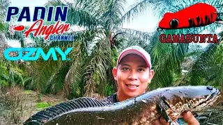 SOFTFROG GAMABUNTA OZMY BUAT HAL LAGI || SARAWAK #TeamOzmy #Pw100plus #Daiwa